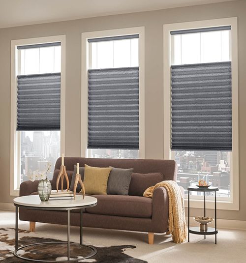 ⁠Pleated Blinds