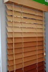 Panel Blinds